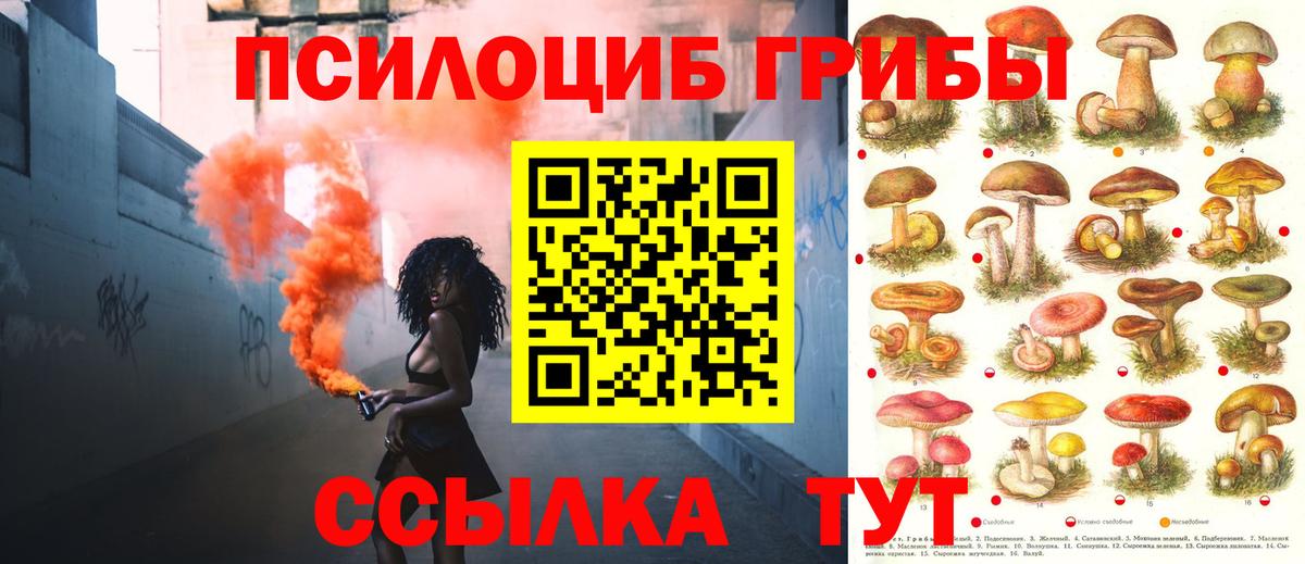 Псилоцибиновые грибы прущие грибы Егорьевск